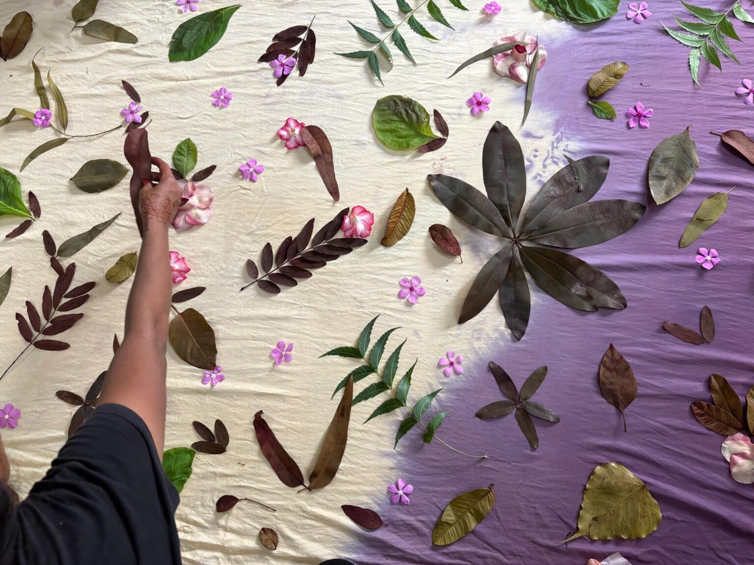 Eco printing