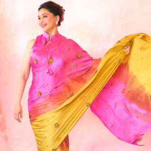 Madhuri_dixit_SewMuchBetter_Saree